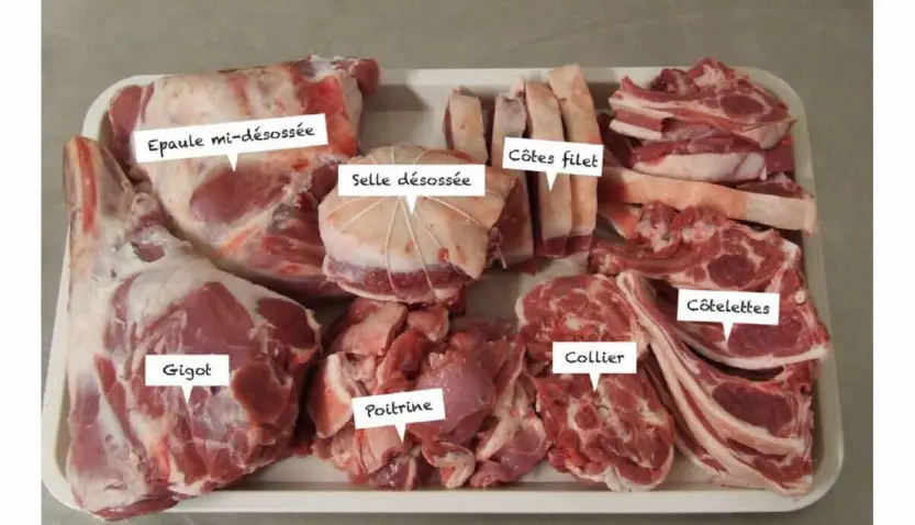 Colis agneau découverte (5 Kg)